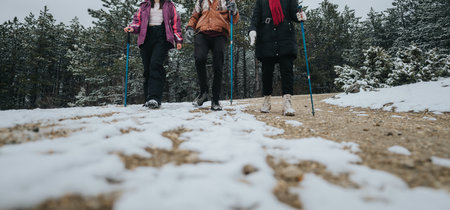 Group of Friends Enjoying a Winter Trekking Adventure in Natureの写真素材
