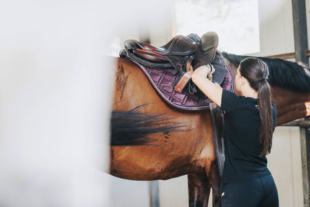 Young woman saddling a brown horse in a stable settingの写真素材