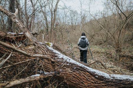 Hiker exploring a winter forest path amidst snow and fallen trees during an outdoor adventureの写真素材