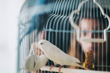 White parrot perched inside a cage with blurred background, evoking calm and serene feelings of...