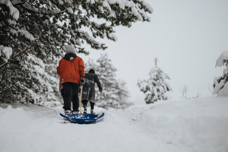 Winter walking with sleds through a snow-covered forestの写真素材