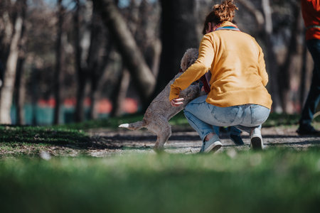 Woman crouching in park interacting with dog during sunny day outdoorsの写真素材