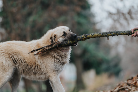 Dog gripping a tree branch during an outdoors playtime scene