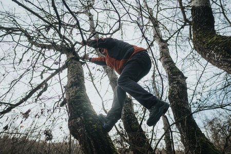 A man climbing a moss-covered tree in a forest with bare branches on a cloudy dayの写真素材