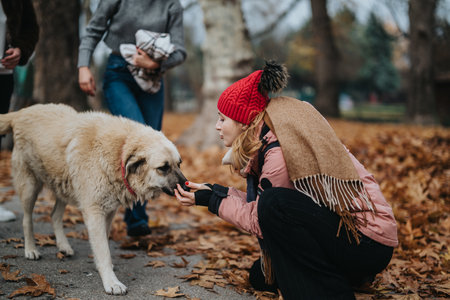 Young Woman Interacting with a Large Fluffy Dog Outdoors in an Autumn Park Surrounded by Fallen Leavesの写真素材