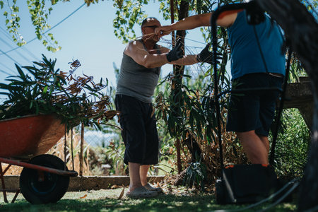 Two men working in a sunny garden with wheelbarrow, gloves, and plants, showing outdoor labor and teamworkの写真素材