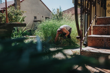 Man kneels in a garden, tending tall grass beside a stairway and house in a sunny backyardの写真素材