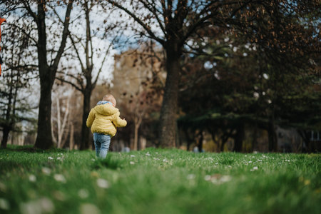 Toddler walking through a green park surrounded by trees on a sunny dayの写真素材