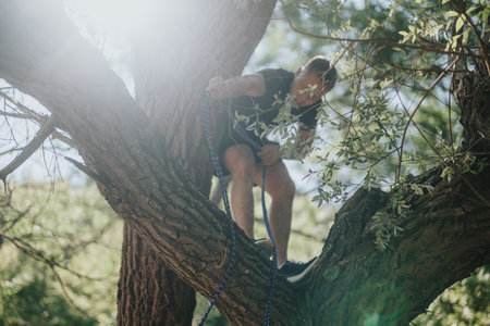 Person climbing a tree with a rope in a sunny natural settingの写真素材