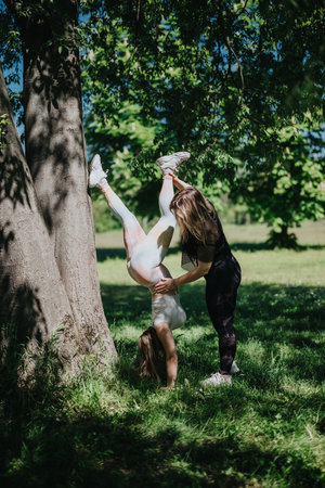 Two women training together with tree-assisted handstands in a parkの写真素材