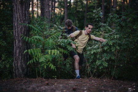 Two hikers navigate dense forest undergrowth during a trail hikeの写真素材