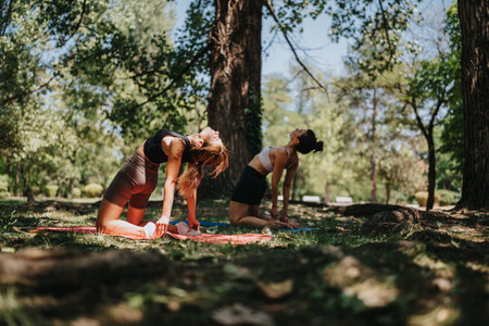 Two women practice outdoor yoga in a sunlit park, performing back bend poses on matsの写真素材