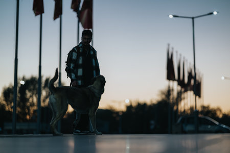 Man with a large dog at sunset walks on glossy pavement beside flagpoles and streetlightsの写真素材