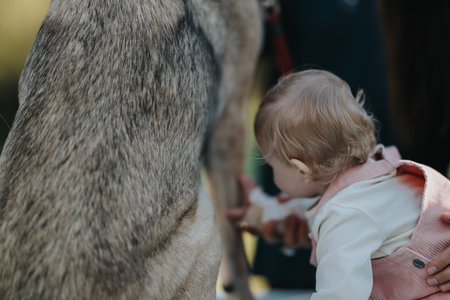 A curious toddler and baby explore a horse in a sunny autumn park together, capturing a tender family momentの写真素材