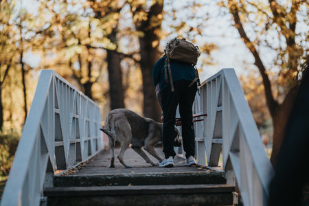 Person with backpack and dog crosses a white wooden bridge in autumn park