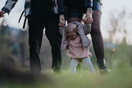 Family support as child learns to walk outdoors, holding hands in a sunny park settingの写真素材