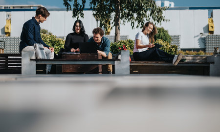 Young professionals gather outdoors for a collaborative study and business meeting on a sunny dayの写真素材