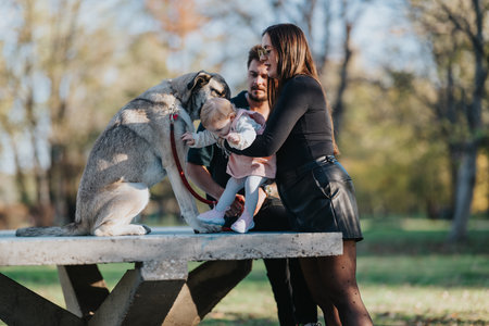 Family shares a loving moment with dog on a bench in autumn parkの写真素材