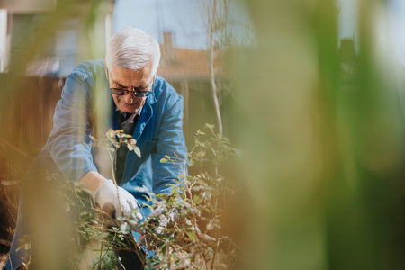 Older man gardening in a sunny backyard, pruning plants with gloves and a blue jacket