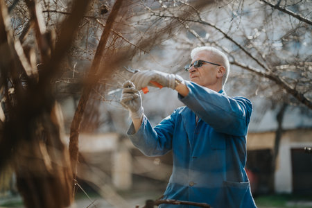 Older man pruning a tree with shears in a blue work jacket outdoors on a sunny day