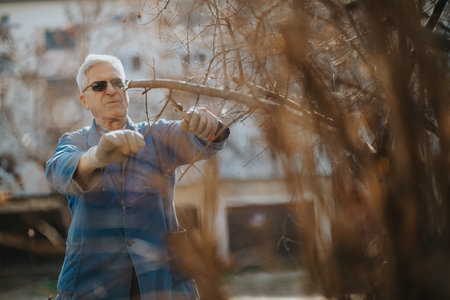 Senior man pruning branches in a garden, wearing gloves and sunglasses, focused on outdoor task