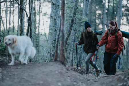 Two women hiking with a dog in a forest trail, carrying backpacks and trekking poles