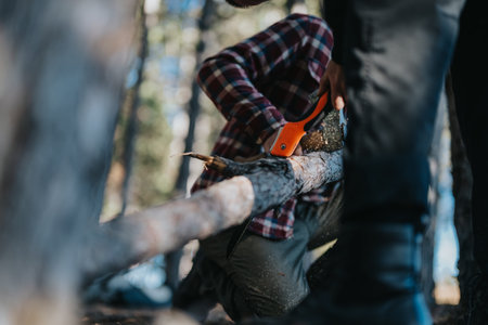 Person using a hand saw to cut a log in the forest, outdoors, with focus and careの写真素材