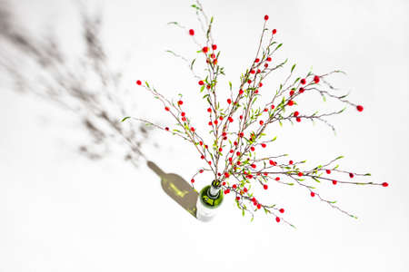 flower and vaseの写真素材