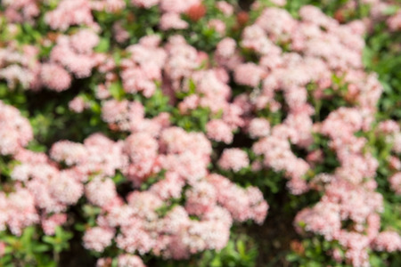 abstract nature background