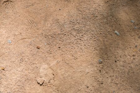 Soil texture backgroundの写真素材