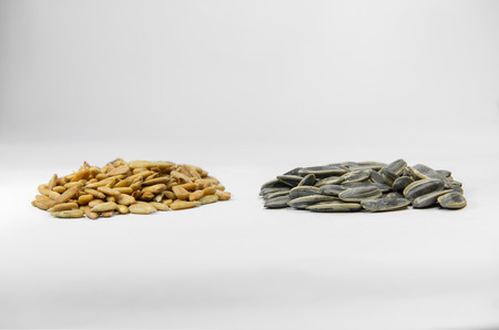 Sunflower seedの写真素材