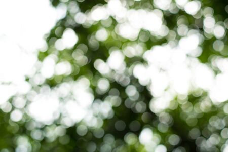 Green bokeh backgroundの写真素材
