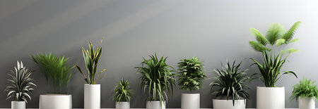 3d render of green plants in white pots on gray wall backgroundの素材