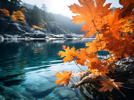 Autumn landscape with mountain lake and yellow maple leaves on the rocksの素材