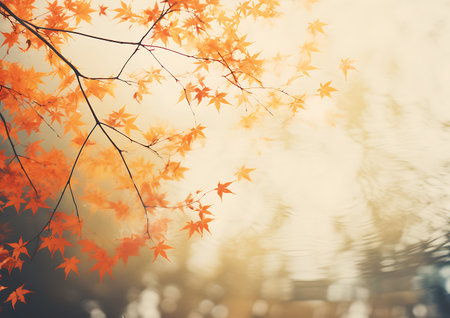 Autumn leaves background with bokeh effect, vintage filterの素材