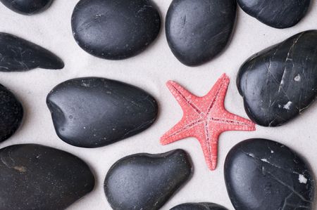 Starfish on black pebblesの写真素材
