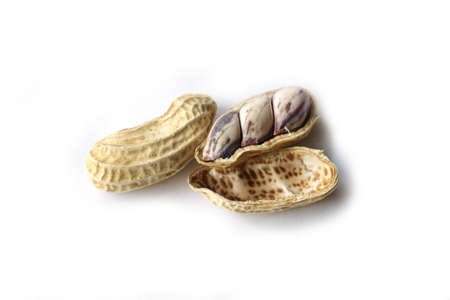 Boiled peanuts are a shell to show the seeds insideの写真素材