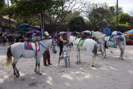 Hua Hin, Thailand - January 01, 2016: The merchants preparing thier rental horses for the tourist ride them around the beach at Hua Hin public beach, Thailandのeditorial素材