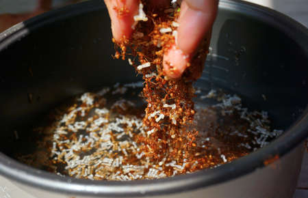 Fire ant or mod dang eggs, delicious Thai food ingredient from ant nest.の写真素材