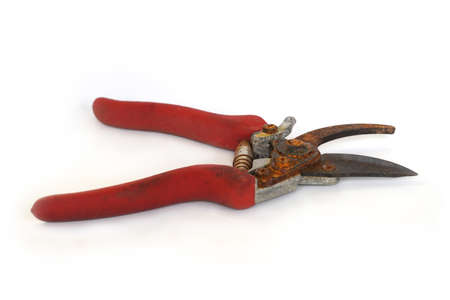 Secateurs ,Pruning shears on white backgroundの写真素材