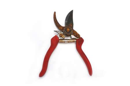 Secateurs ,Pruning shears on white backgroundの写真素材