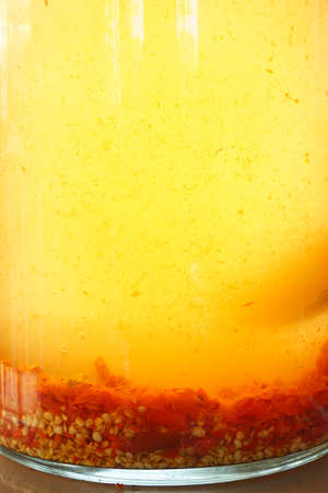 chilli pickled in vinegarの写真素材