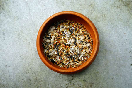 Mixed Wheat and Grain for parrot Bird Feedの写真素材
