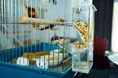 Plastic bird feeder