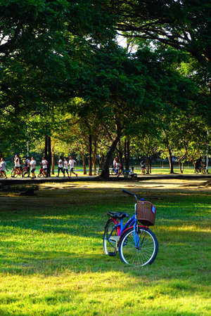 People are jogging and cycling in the public park in the early morning at Wachirabenchathat Park or State Railway Public Park is a name of public park in Chatuchak district, Bangkok, Thailand.の写真素材