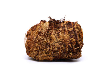 Closeup of taro on white backgroundの写真素材