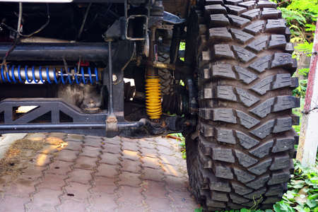 Big wheel vehicle , 4 wheels drive , auto transport