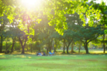Blurred background, Wachirabenchathat Park or State Railway Public Park is a name of public park in Chatuchak district, Bangkok, Thailand.の写真素材