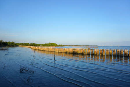 Man made wooden pole of sea wall stand on the Thai bayの写真素材