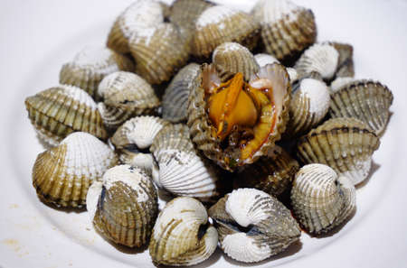 Poached scallop cockles in a plate, delicious seafoodの写真素材